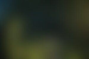 Фотография квеста Тайны лабиринта от компании Событие (Фото 1)